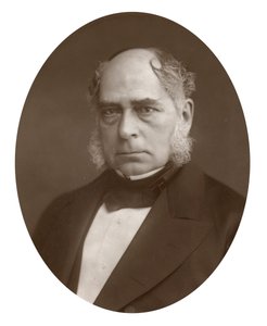 Henry Bessemer angol mérnök és feltaláló, 1881 alkotó: Lock and Whitfield