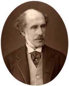 Jobb oldalon Hon William Francis Cowper-Temple, South Hampshire képviselője, 1876. alkotó: Lock and Whitfield