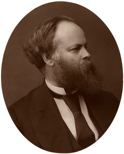 Samuel Plimsoll, Esq, parlamenti képviselő, brit liberális politikus és társadalmi reformer, 1876. alkotó: Lock and Whitfield