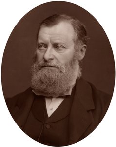 William Edward Forster képviselő, 1878. alkotó: Lock and Whitfield