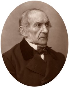 William Ewart Gladstone parlamenti képviselő, brit liberális miniszterelnök, 1882. alkotó: Lock and Whitfield
