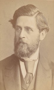 [Ludwig Johann Passini], 1867 után.