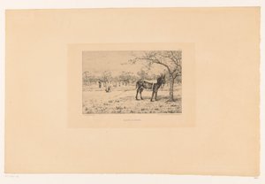 Táj szamárral Maitre Aliboron (cím a tárgyon) alkotó: Léon Barillot