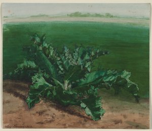 Tanulmány egy növényről, esetleg bogáncsról, 1862.