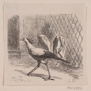 A Jardin des Plantes titkára alkotó: Lorenz Frølich