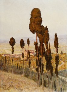 San Francesco, Assisi (olaj, vászon) alkotó: Lorenzo Cecconi