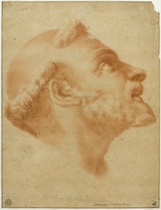 Szent Domonkos felfordított feje alkotó: Lorenzo Sabbatini
