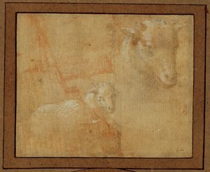 Egy bárány tanulmányozása. Ezüst toll, szürke mosás, halvány rózsaszínű papírra ... alkotó: Lorenzo di Credi
