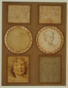 Tanulmány egy bárányról, összekötött mellső lábakkal ... alkotó: Lorenzo di Credi