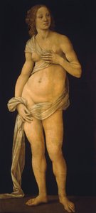Vénusz alkotó: Lorenzo di Credi