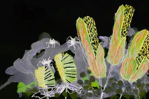 Ragyogó éjszakai kert alkotó: Lori Ann Folz