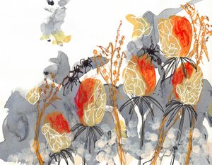 Narancssárga banksia pókokkal alkotó: Lori Ann Folz