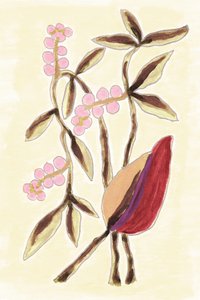 Pink Berry Botanicals alkotó: Lori Ann Folz