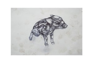 Kismalac, 2015, (bicó papíron) alkotó: Lou Gibbs