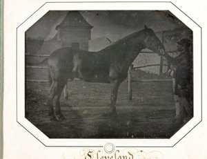 Cleveland, c. 1842-1843. alkotó: Louis Auguste Bisson