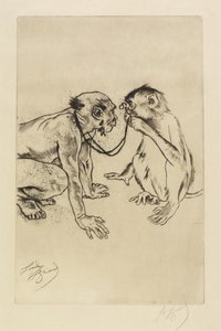 Összehasonlító anatómia alkotó: Louis Auguste Mathieu Legrand