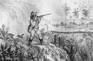 Megöltem három... metszet M. de Sainson rajza nyomán Daniel Defoe könyvéhez (De foe) „Robinson Crusoe”” 1837-es francia kiadás.