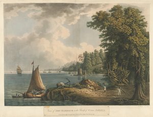 Kilátás a száraz kikötőre a St Ann plébánián, a Jamaica-szigeti Six View-ból alkotó: Louis Bélanger