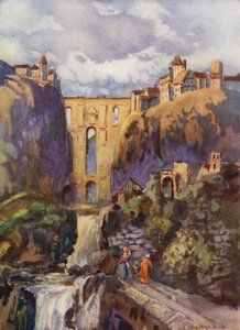 T Taj, Randa (fekete litó)