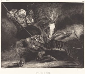 Tigris támadás