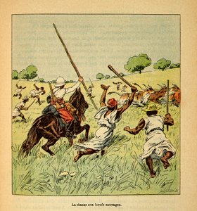 A madagaszkári háború – Az 1885-1895-ös francia expedíciók anekdotikus története, Henri Galli dit Galllichet (1854-1922), illusztrálta Louis Bombled (1862-1927): Vadökrök vadászata Madagaszkáron 1895-ben, Magángyűjtemény alkotó: Louis Charles Bombled