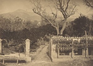 Mezőgazdasági jelenet hegyekkel, 1850-es évek. alkotó: Louis Crette