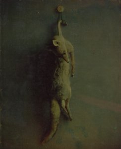 Fox, kb. 1870. alkotó: Louis Ducos du Hauron