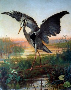 A gém. Illusztráció Jean de La Fontaine „A gém és a csiga” című meséhez alkotó: Louis Emile Villa