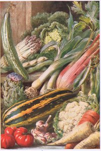 Kerti zöldségek, illusztráció a "Garden Ways and Garden Days"-ből (színes litho)