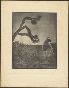 Apache-tánc alkotó: Louis Fleckenstein