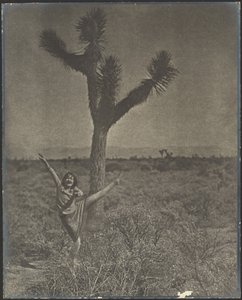 [Táncos a Joshua Tree-nél] alkotó: Louis Fleckenstein