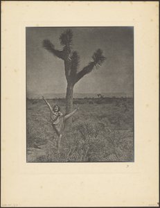 [Táncos a Joshua Tree-nél] alkotó: Louis Fleckenstein