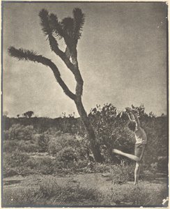 [Táncos a Joshua Tree-nél] alkotó: Louis Fleckenstein