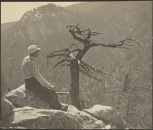 Az Ördög-csúszda az Öngyilkos-szikláig (San Jacinto-hegység) alkotó: Louis Fleckenstein