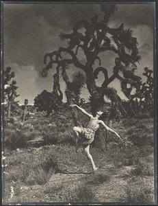 A tánc ihlete alkotó: Louis Fleckenstein