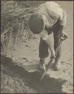 [Sárban ásó férfi] alkotó: Louis Fleckenstein