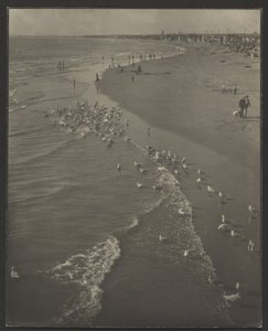 Newport Beach alkotó: Louis Fleckenstein