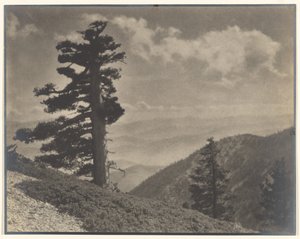 [A gerincen az Old Baldyra] alkotó: Louis Fleckenstein