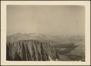 [Sequoia Park] alkotó: Louis Fleckenstein