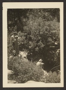 [Tavasz Fern Valley-ben] alkotó: Louis Fleckenstein