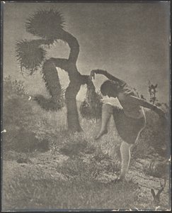 A bohókás Joshua alkotó: Louis Fleckenstein