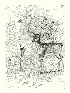 Az őzike és az anyja (litográfia) alkotó: Louis John Rhead