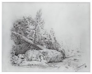 Kidőlt fa, Keene Valley, 1883. július 25. alkotó: Louis Michel Eilshemius