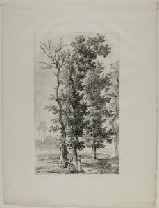 Fák tanulmányozása alkotó: Louis Pierre Baltard