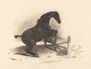 Ló ugrás egy akadályon alkotó: Louis Pierre Marie Courtin after Théodore Gericault