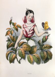  alkotó: Louis Simon (1810-1870) Lassalle