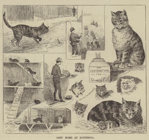 Macskák otthona Battersea-ben alkotó: Louis Wain