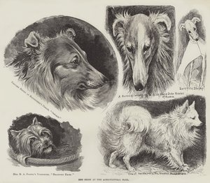 Kutyakiállítás a Mezőgazdasági Csarnokban alkotó: Louis Wain