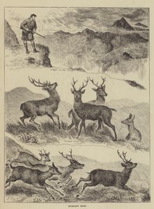 Highland Sport alkotó: Louis Wain