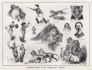Állatok előadása a "Világkiállításon", Islington (metszet) alkotó: Louis Wain